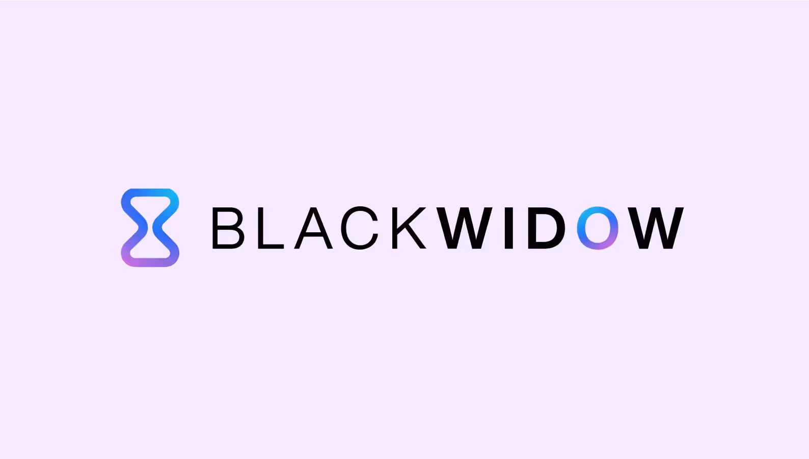 Black Window Tech logo