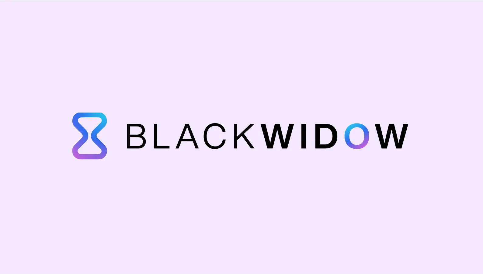 Black Window Tech logo