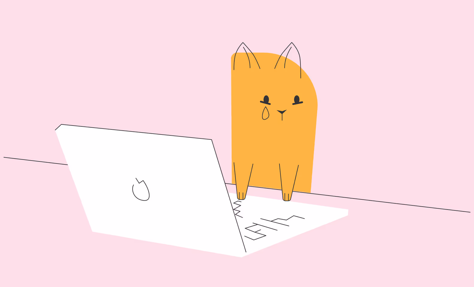 веб-дизайнер работает