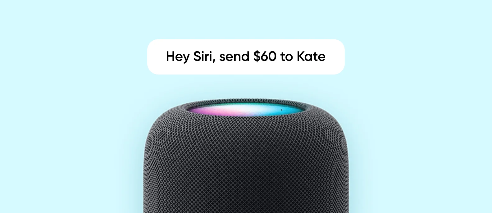 Payments via smart speakers screen 