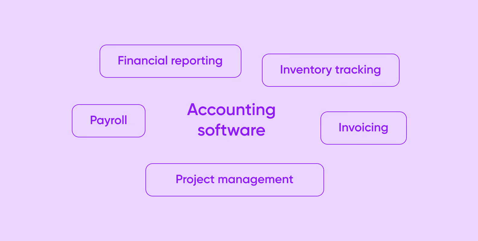 What does accounting software includes