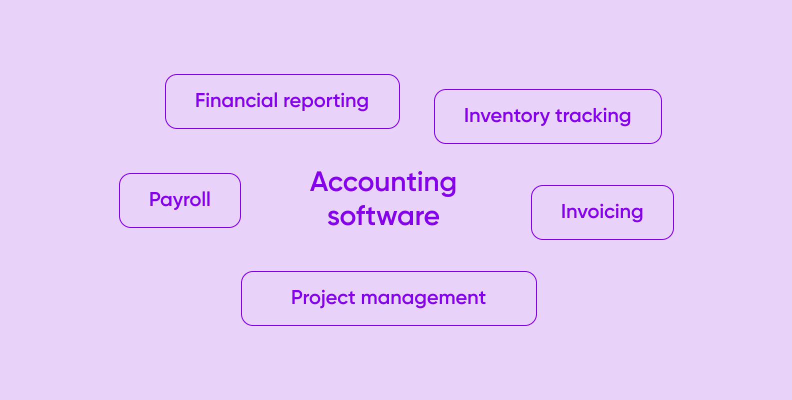 What does accounting software includes