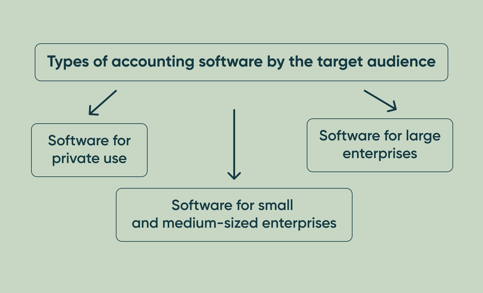 A diagram of types of accounting software by the target audience