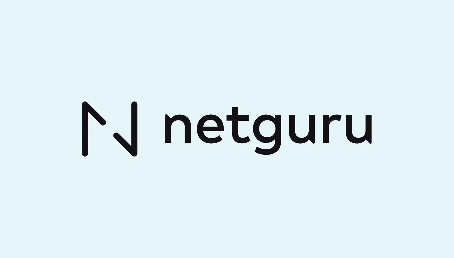 netguru logo