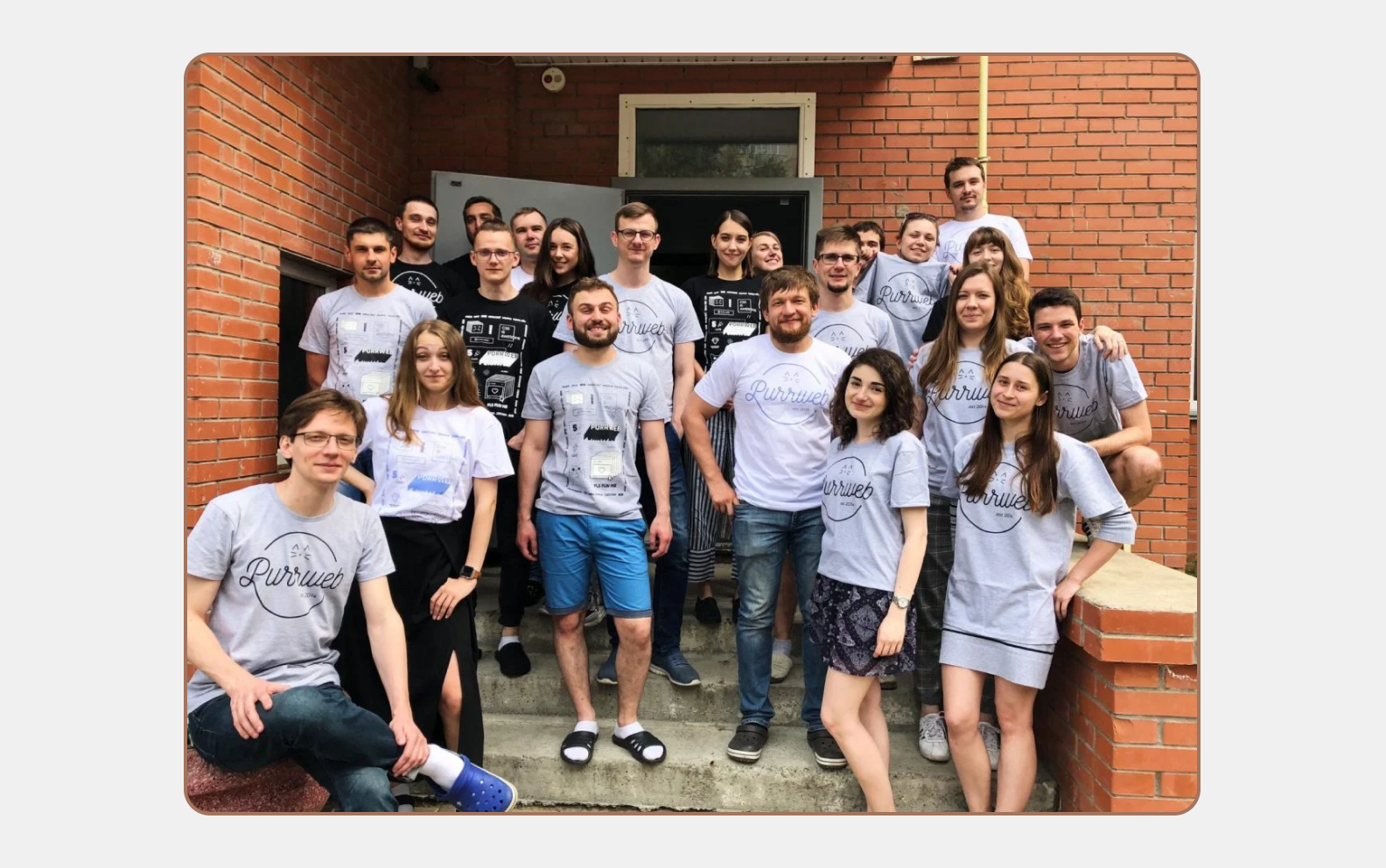 A part of our dream Purrweb team