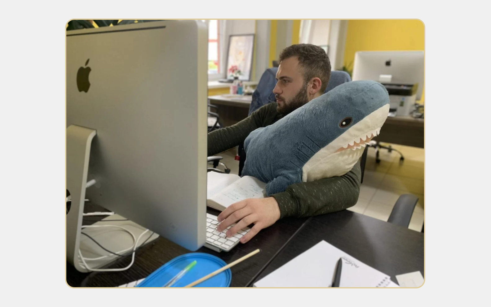 The shark helping with a difficult task