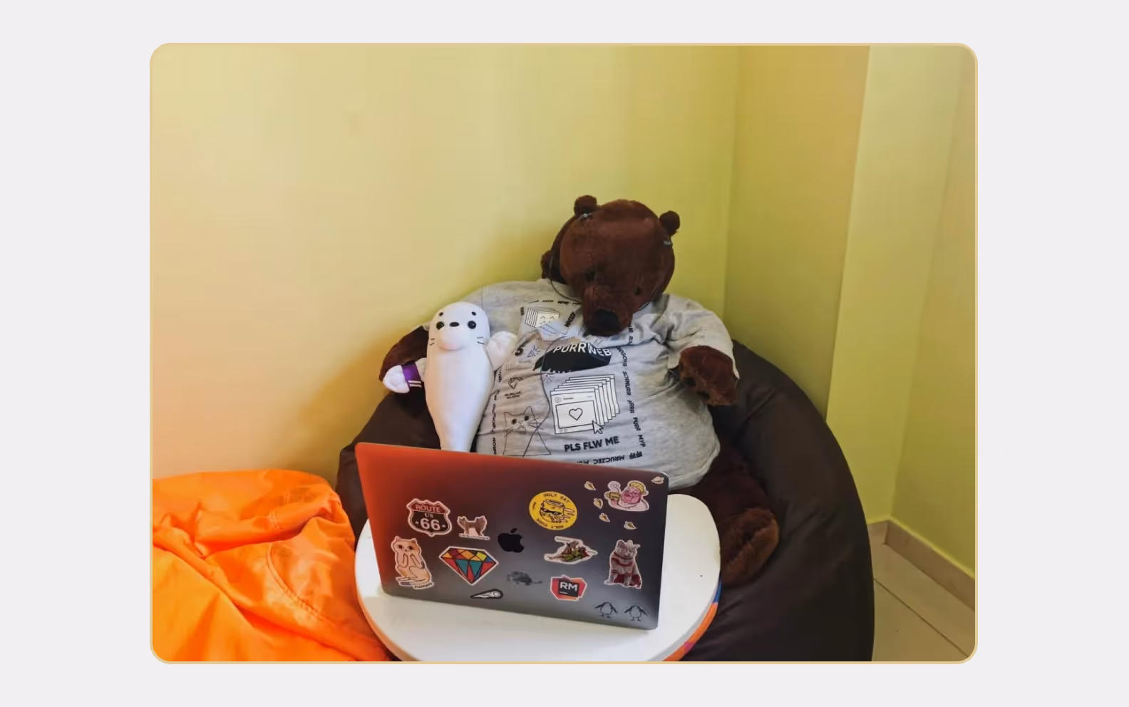 The bear and the fur seal are working on a revolutionary app