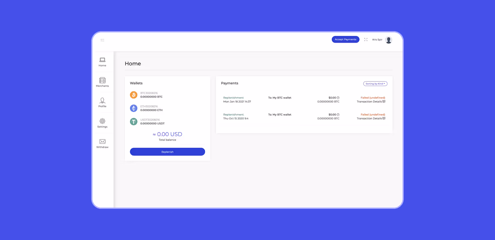 Old version of PayPay navigation