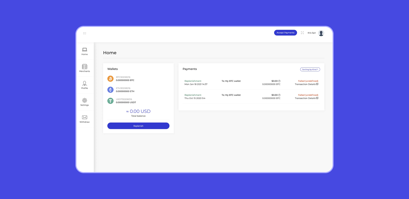 Old version of PayPay navigation