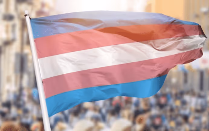 Disinformation campaign uses ‘phony science’ to discredit trans people, researcher says