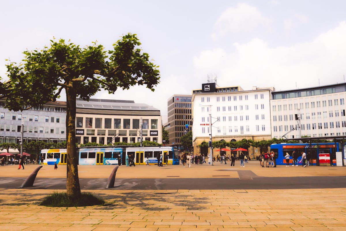Bild von Kassel