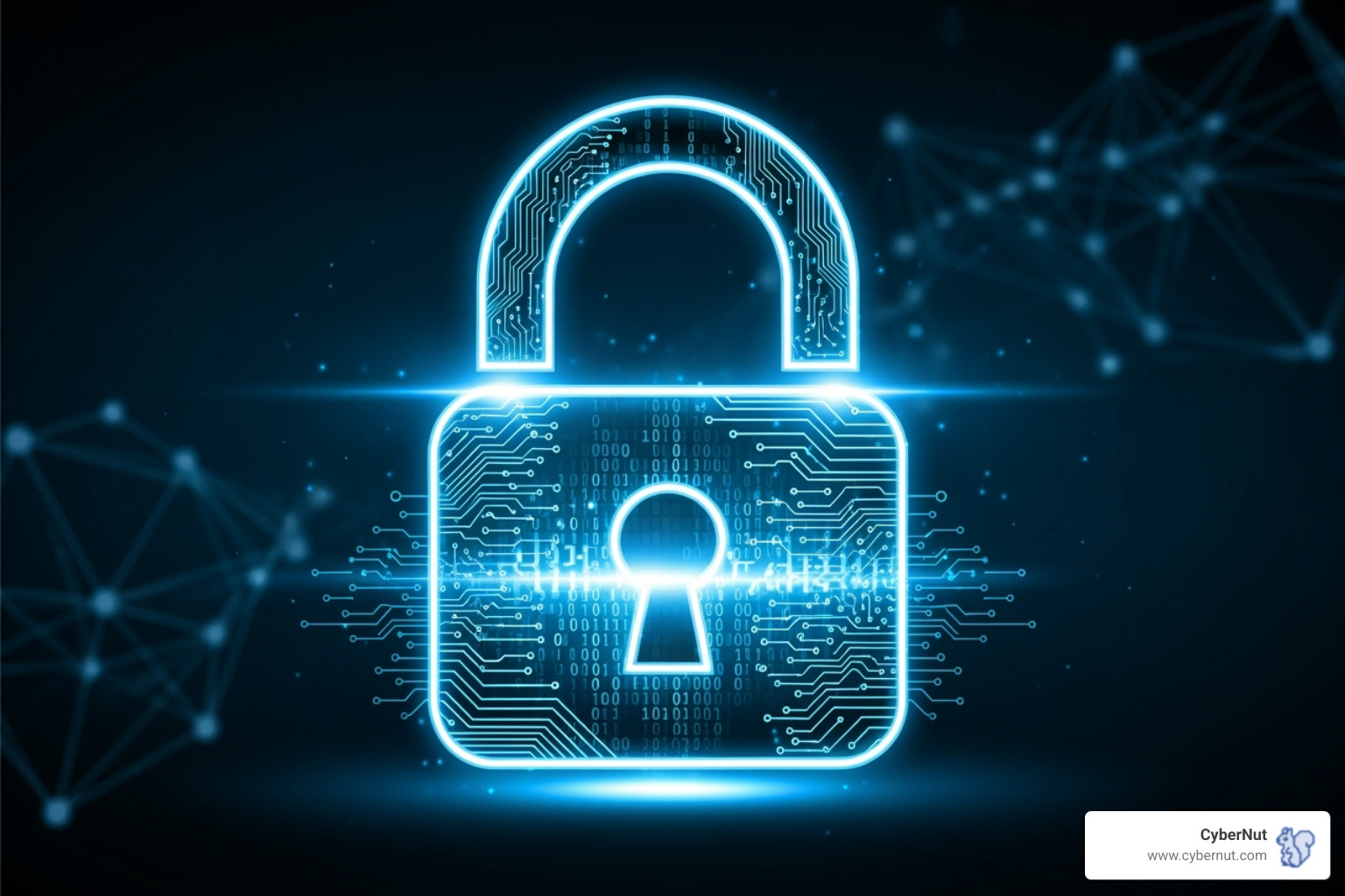 Digital lock icon representing data security - Oklahoma Student Data Accessibility, Transparency, and Accountability Act (2013)