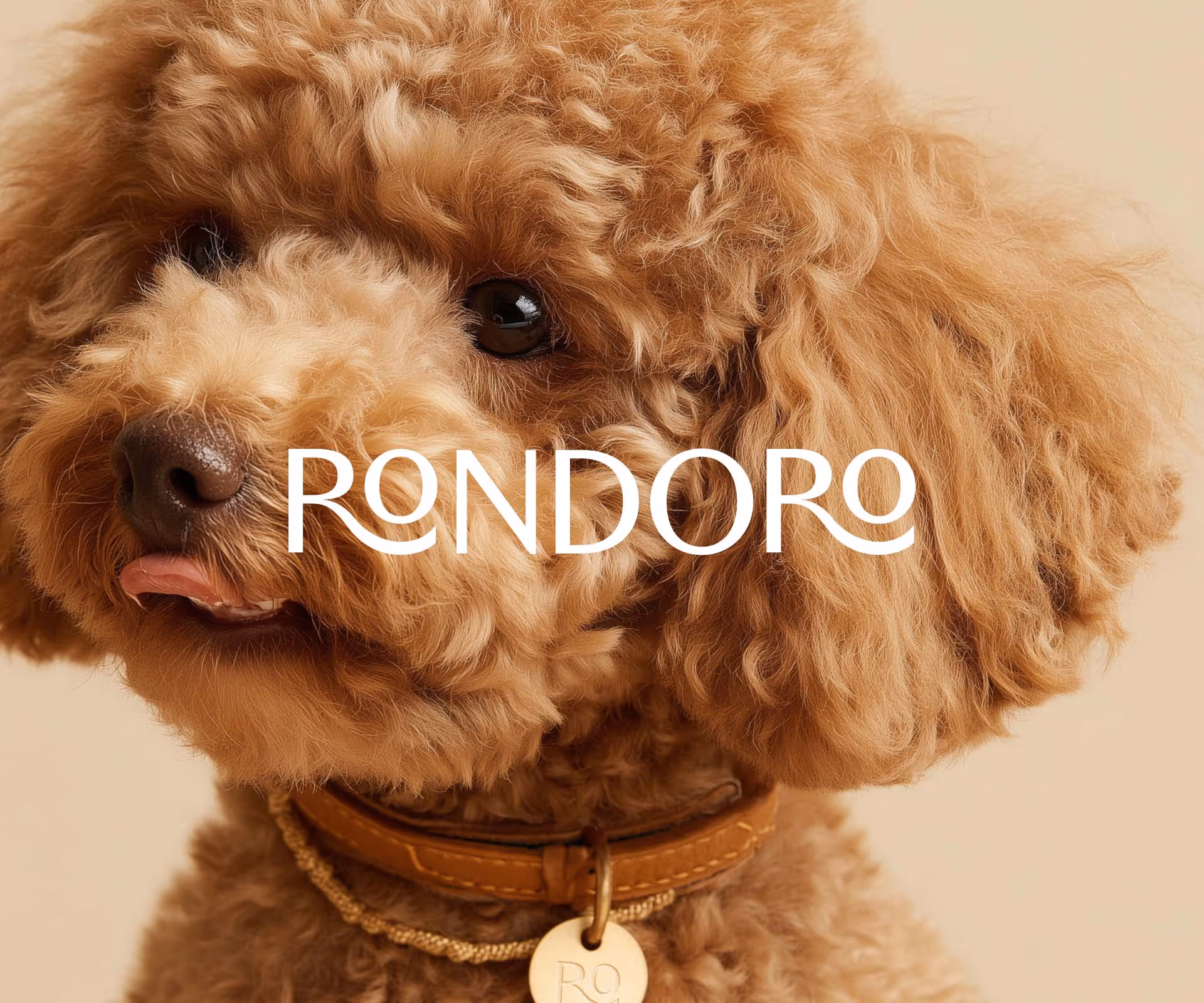 Nahaufnahme eines lockigen braunen Hundes mit Lederhalsband und goldenem Rondoro-Anhänger, Logo „RONDORO“ zentral platziert.