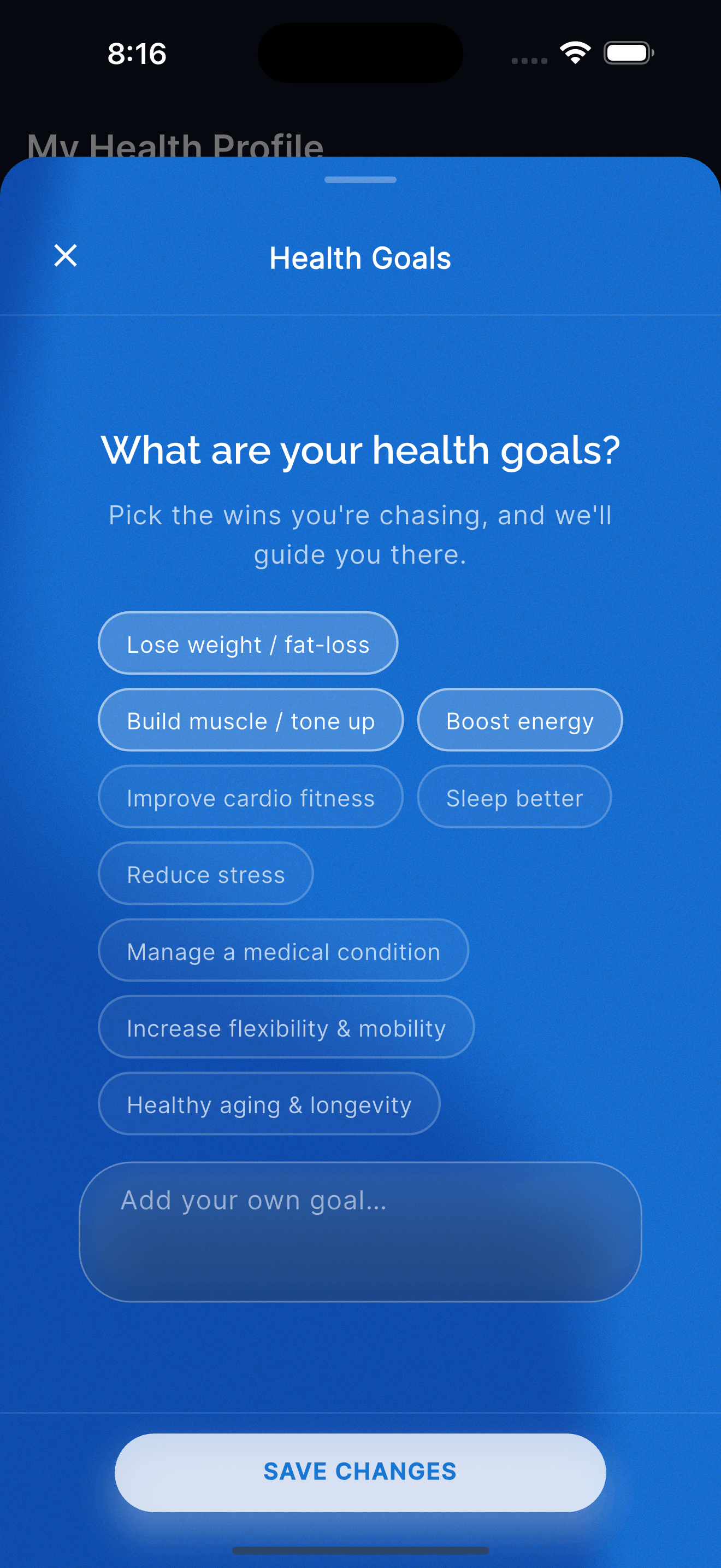Screenshot of obstacles input field