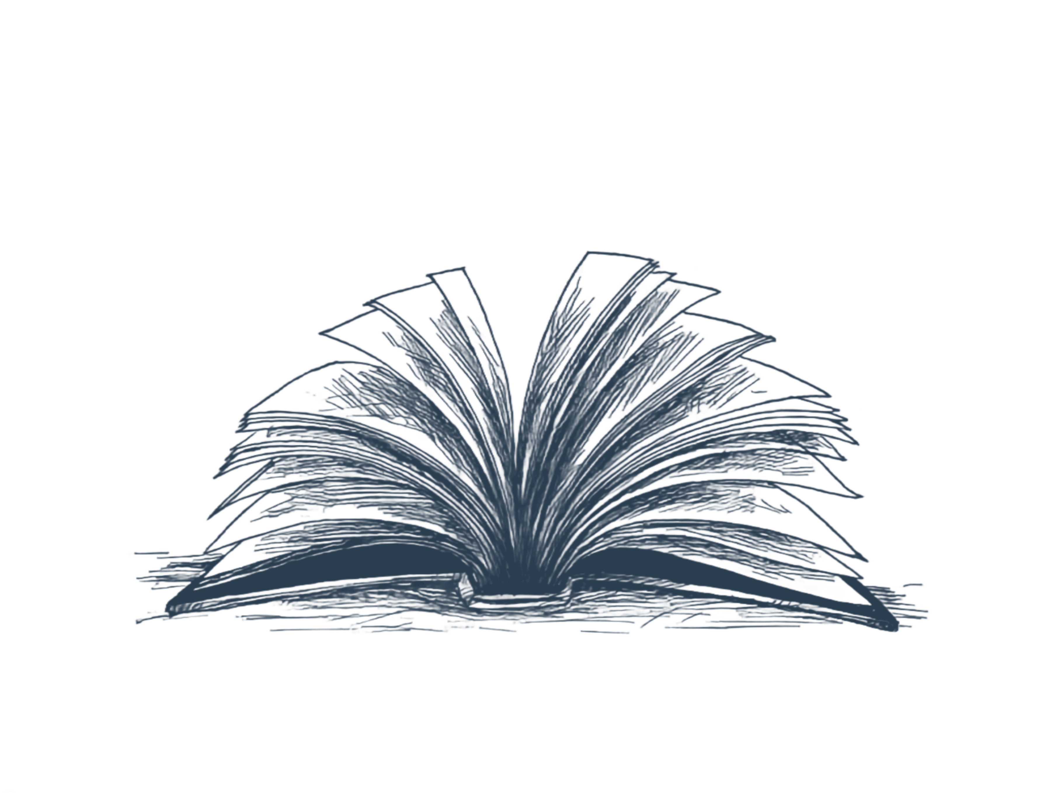 Un livre ouvert bleu