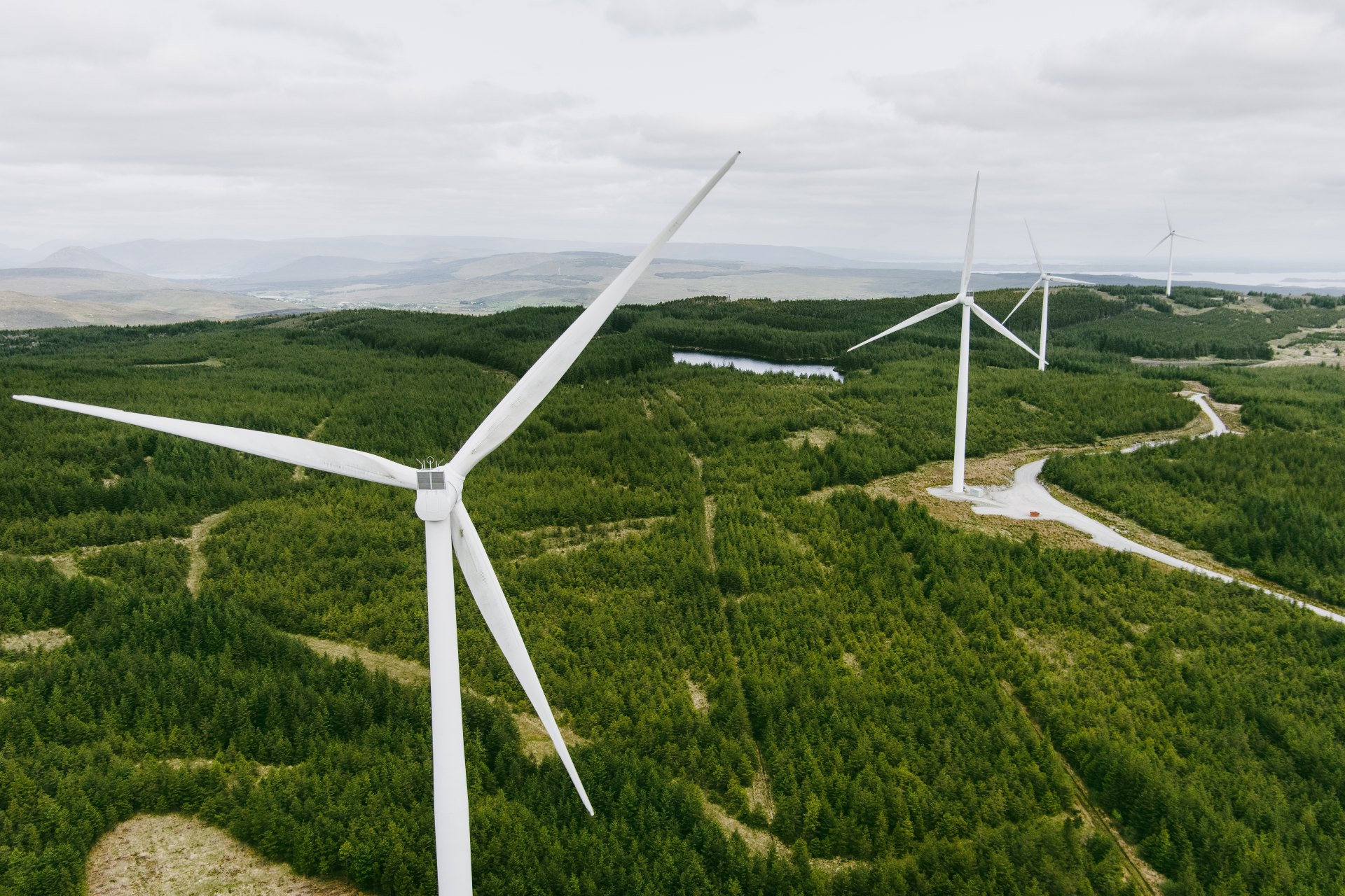 Spotlight: Onshore Wind Strategy, Grid Reform and Regional Transport Upgrades