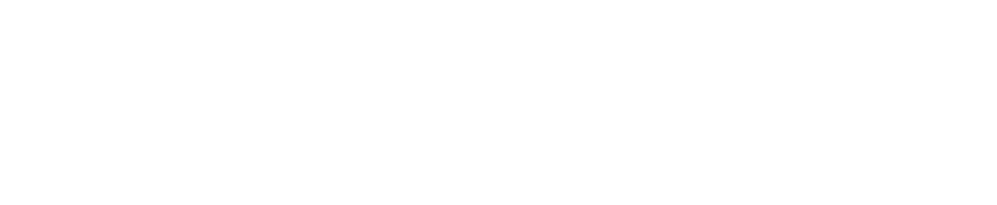Shopify plus logo