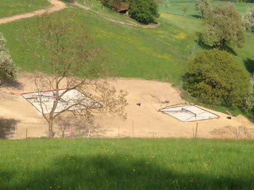 Pflanzenkläranlage1