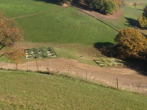 Pflanzenkläranlage2