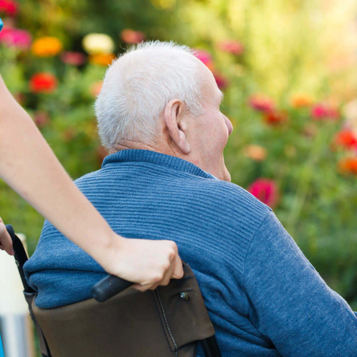 lady pushing elderly man in a wheelchair