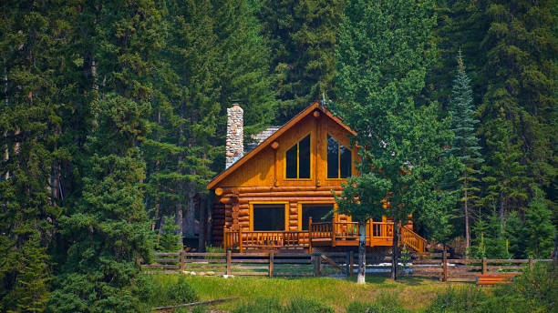 Chalets en Bois Habitables au Maroc : Vivre en Harmonie avec la Nature