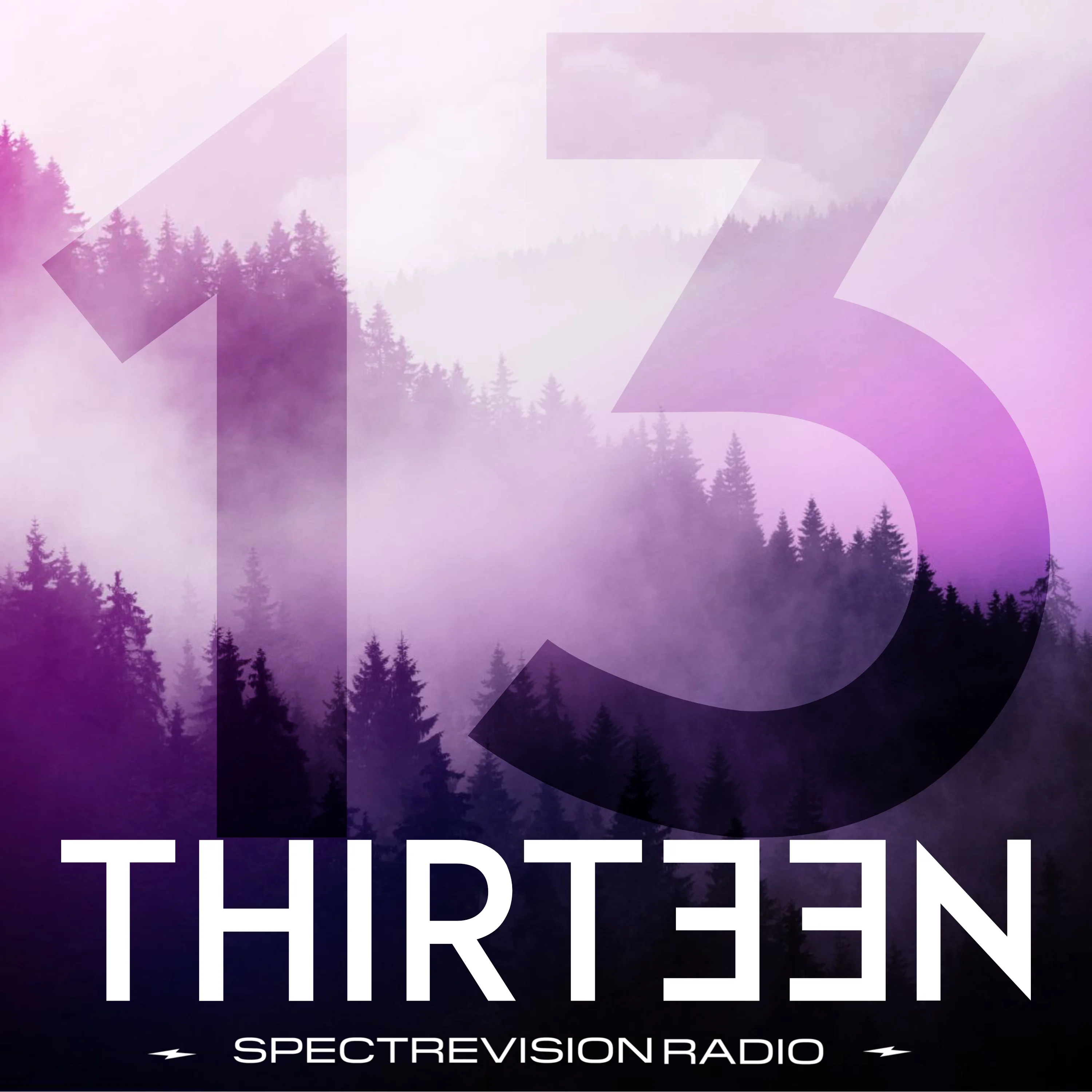 logo for thirteen podcast, image of a forest with purple overlay, the number thriteen, and thirteen spelled out