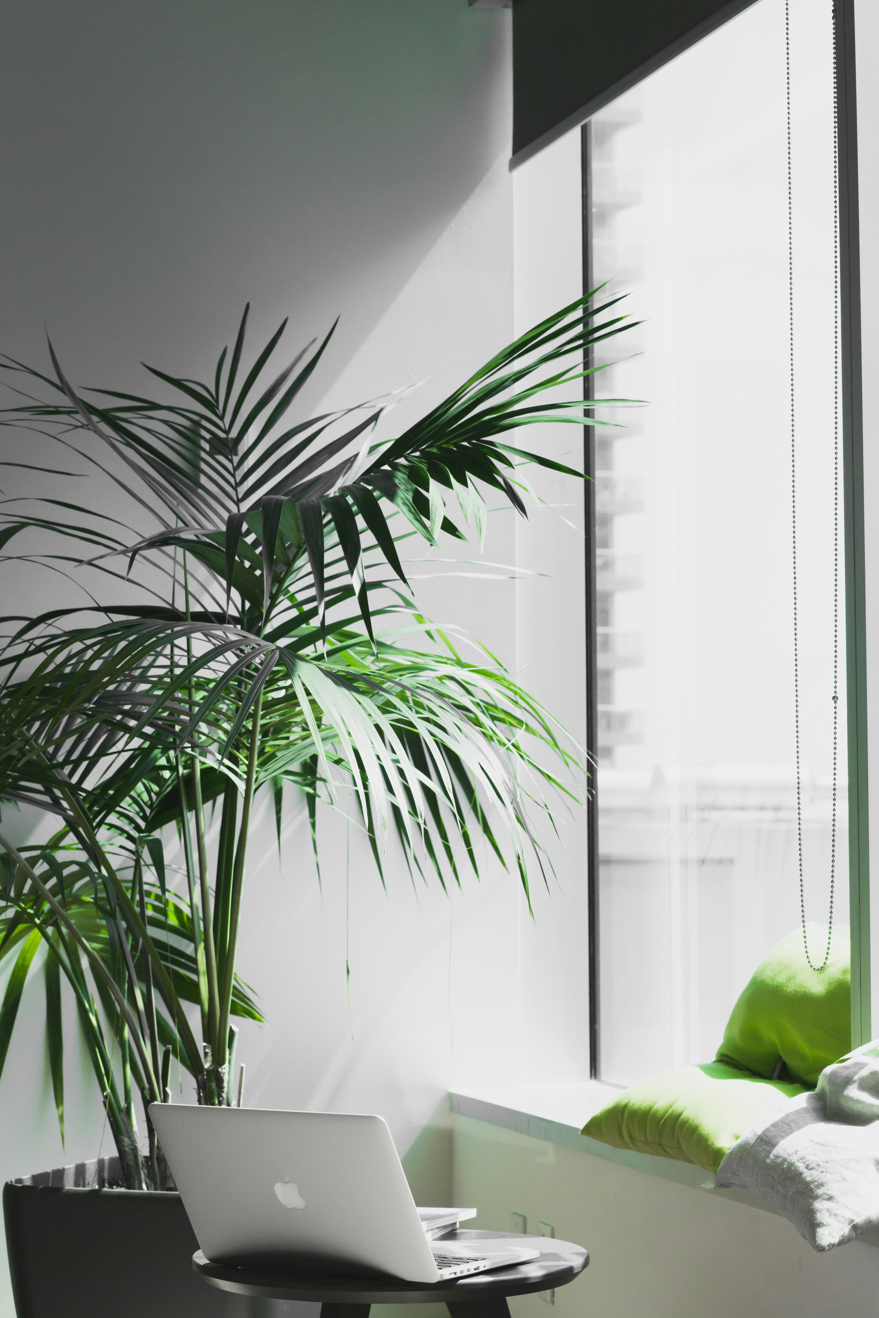 Feature image