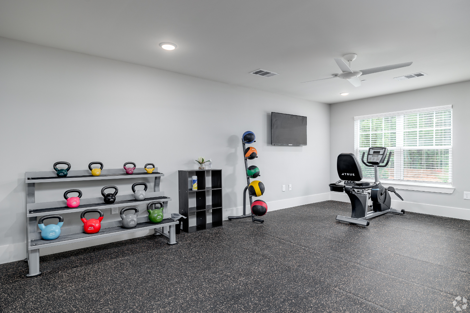 Gym with weights and yoga balls
