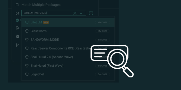 LiteLLM package vulnerabilities