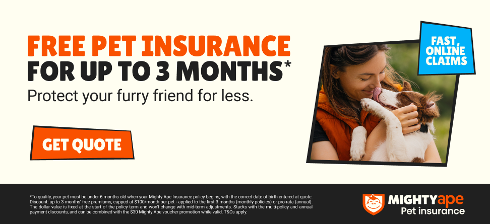 One Month Free - up to $100. Terms and Conditions apply.