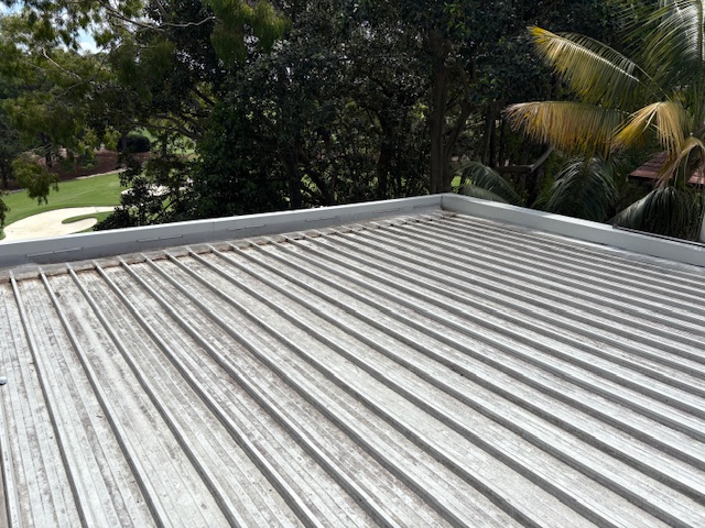 Weathered corrugated metal roof streaked with grime, garden and palm trees beyond