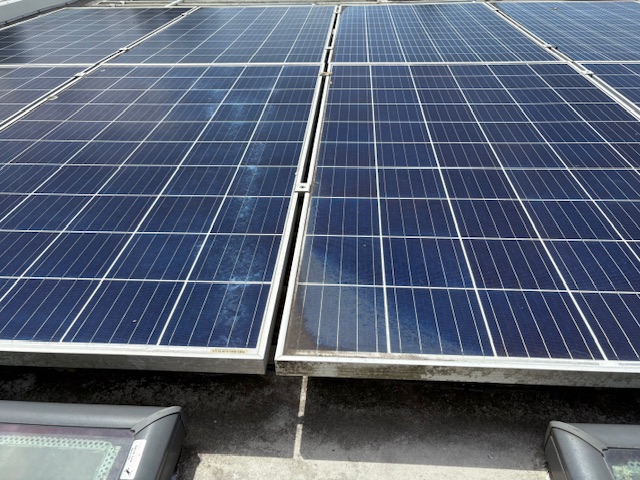 Close-up of solar panels marked with bird droppings and dirt before cleaning