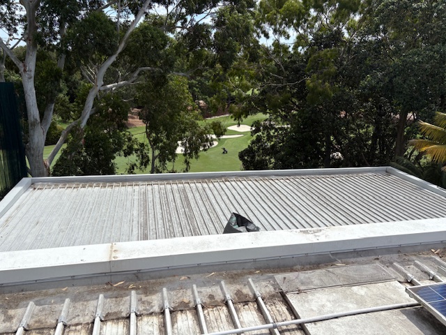 Grubby corrugated roof overlooking parkland with gum trees and green lawn beyond