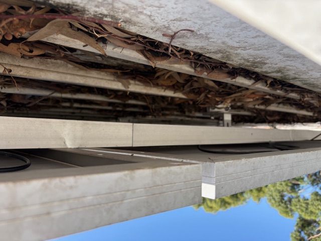 Gutter packed with dead leaves and twigs spilling over the roof edge