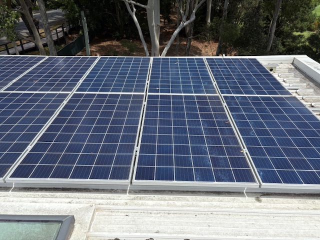 Four solar panels edged by gum trees, glass streaked with dust and grime