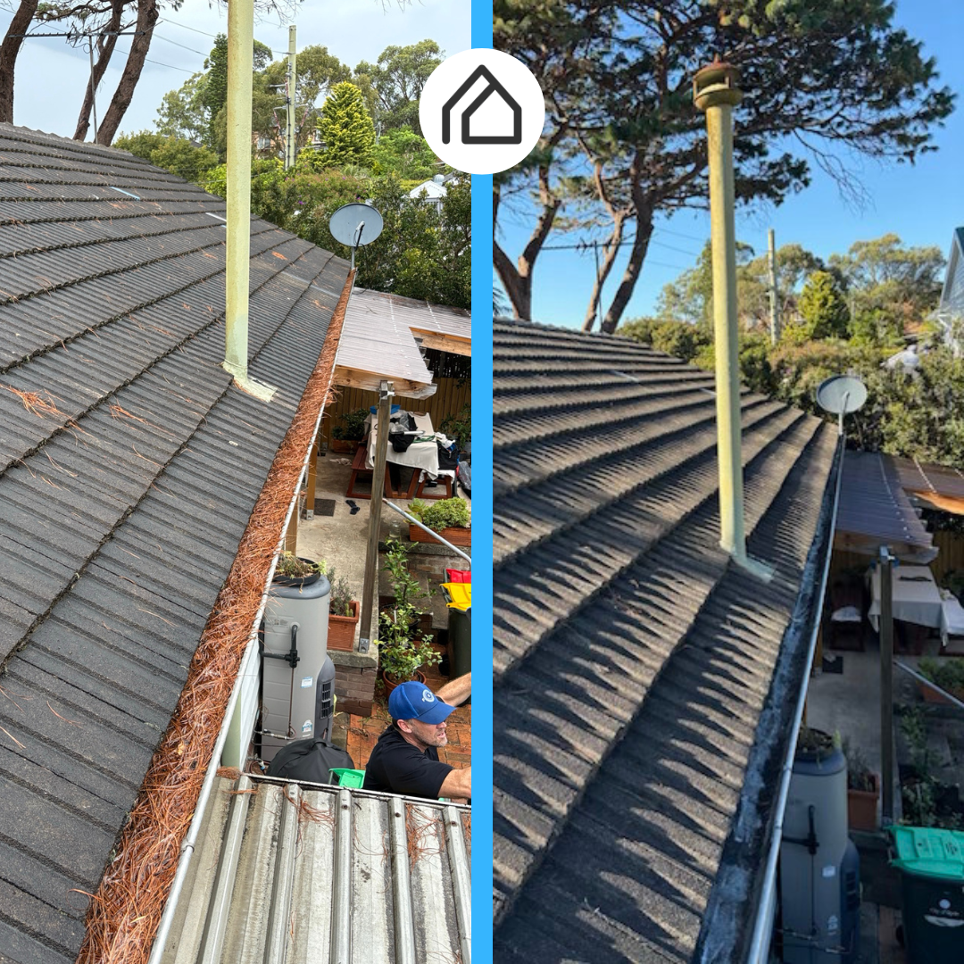 Split before and after of a roof gutter packed with pine needles, then clear