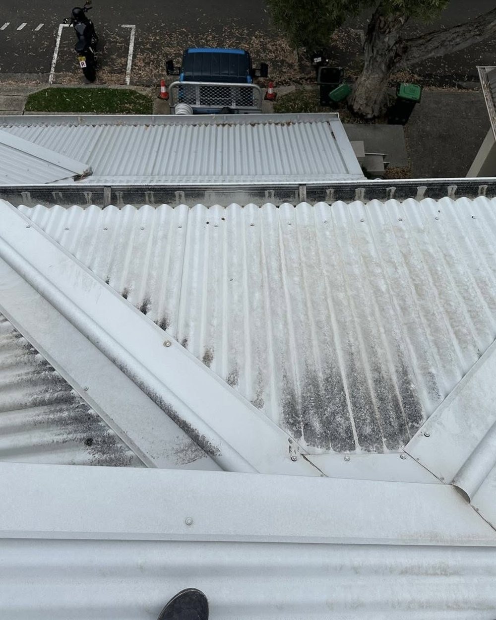 Corrugated metal roof in Sydney with heavy black algae streaking before cleaning.