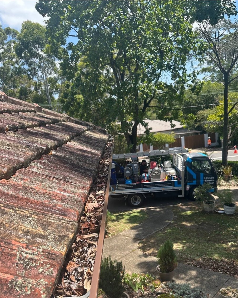 Gutter on a Sydney tiled roof packed with leaf litter and silt before vacuum clearing.