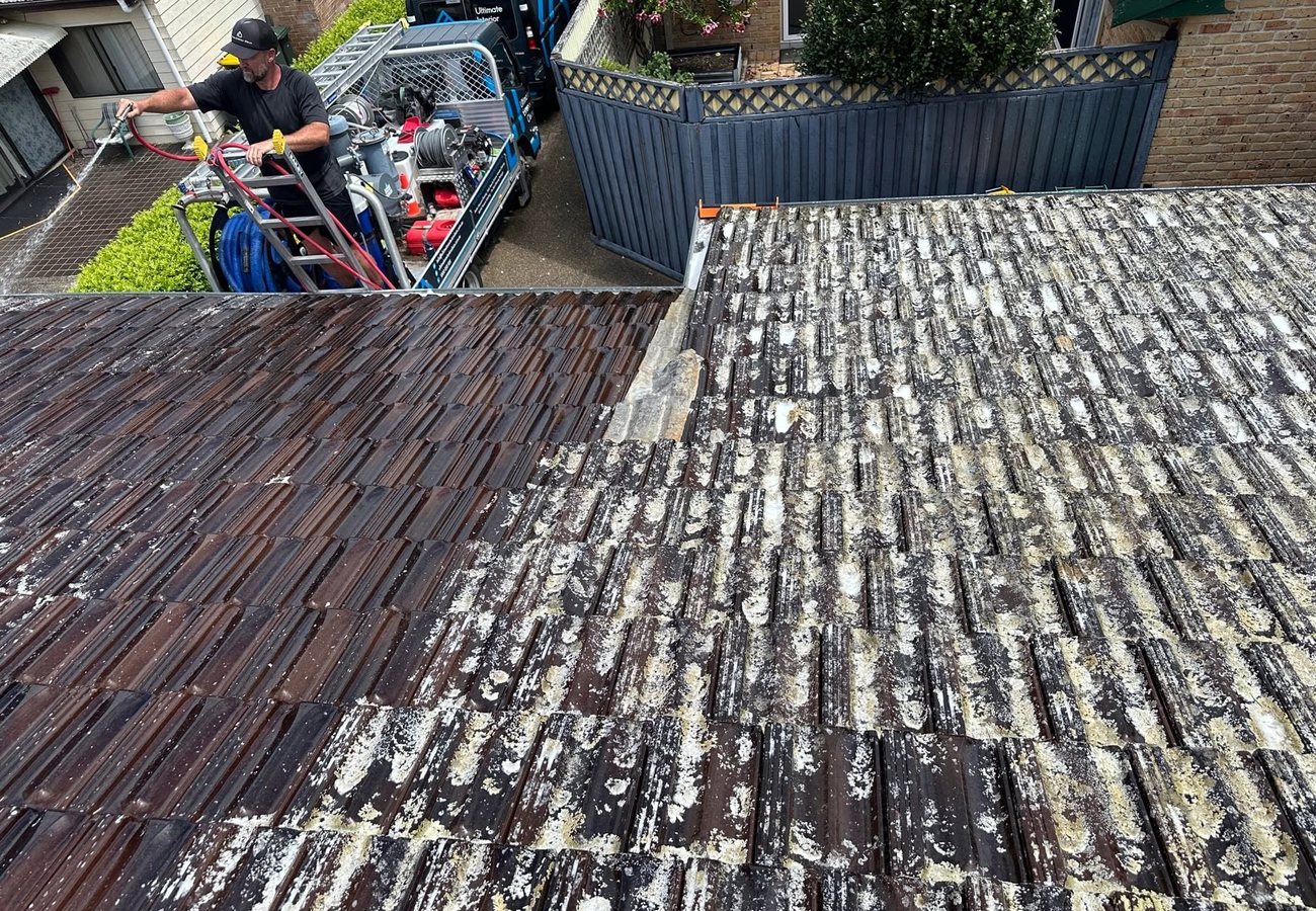 Tiled Sydney roof part-way through cleaning, showing cleaned tiles beside untreated moss-covered tiles.