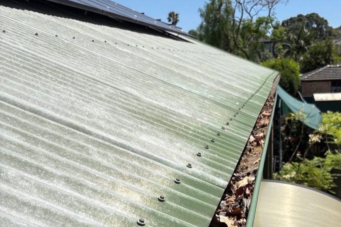 Gutter along a green corrugated roof filled with leaf litter before vacuum clearing.