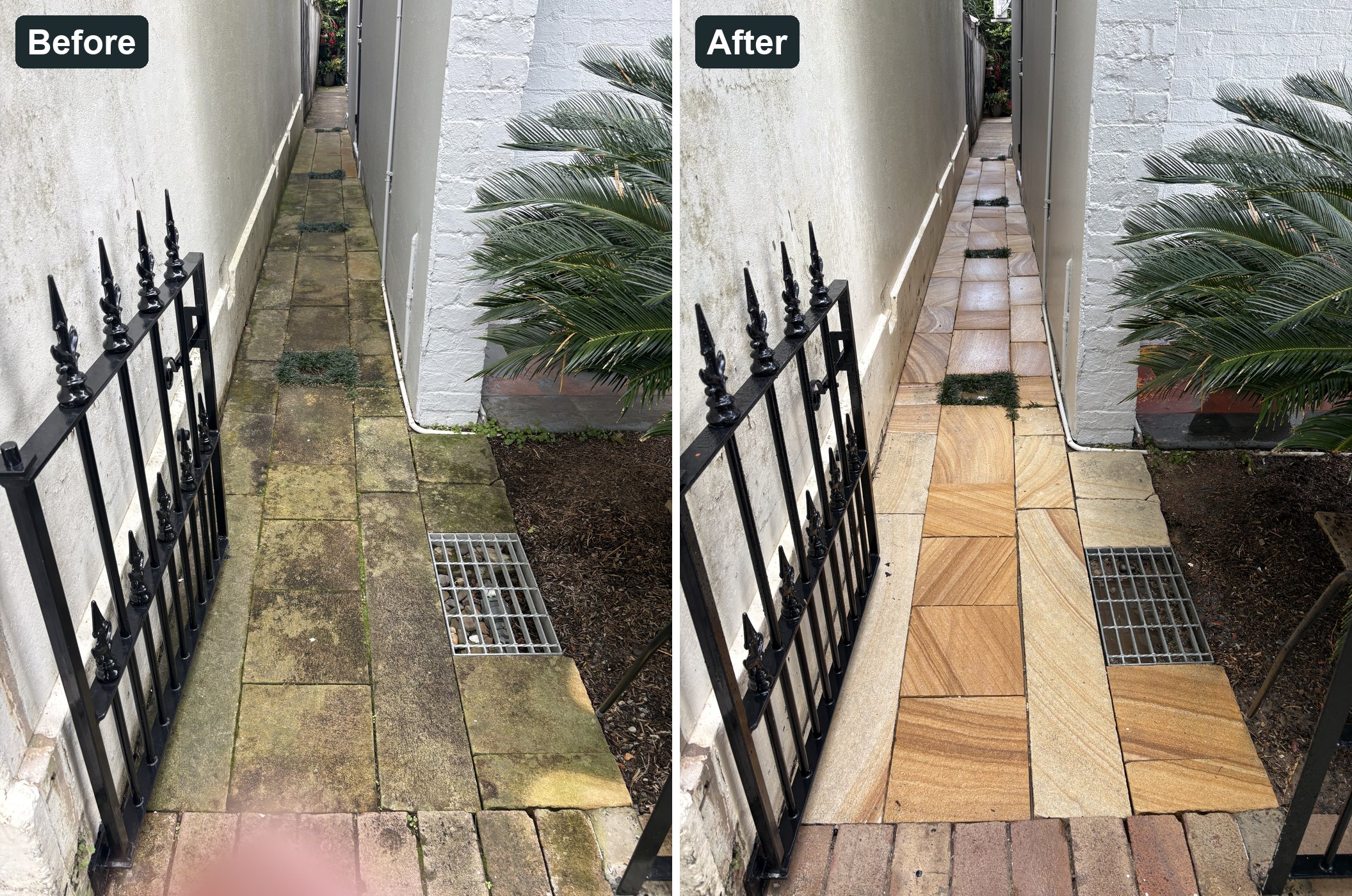Before and after cleaning a sandstone side path in Balmain