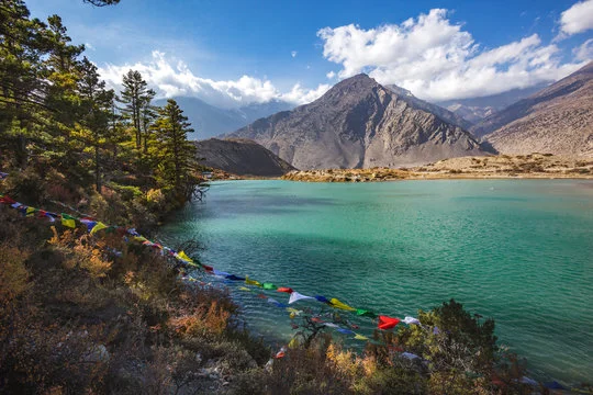 Top or Best Instagram Management Agencies in Nepal