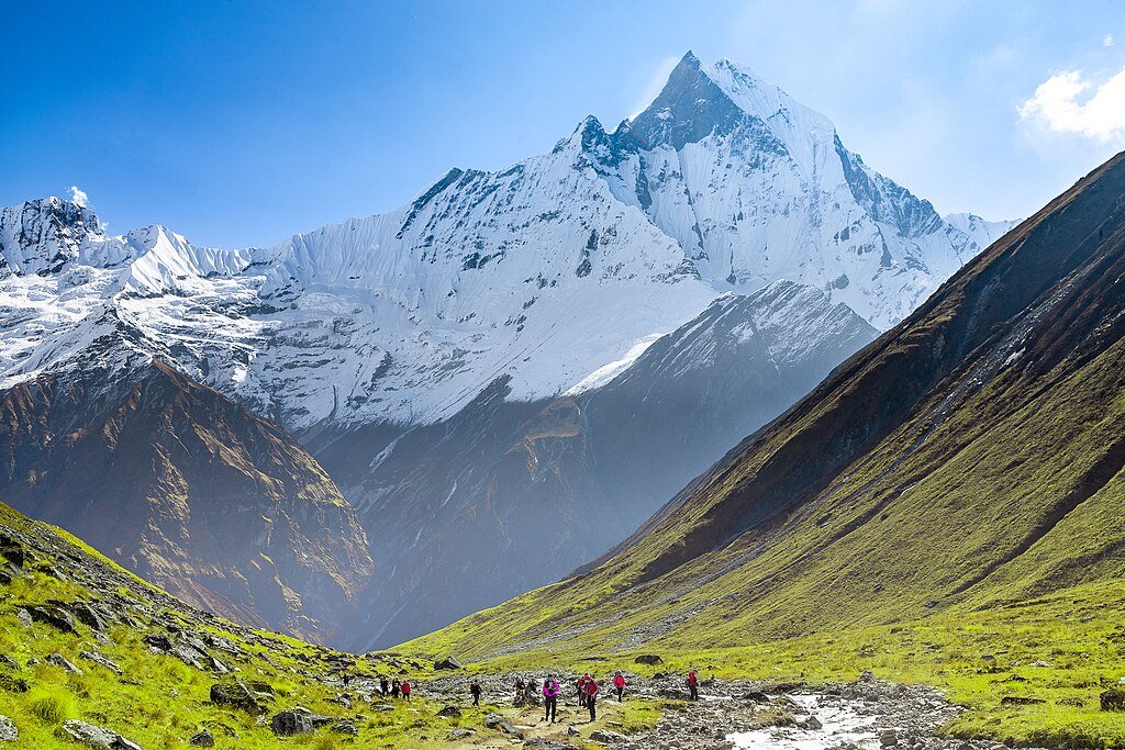 Top or Best Twitch Management Agencies in Nepal