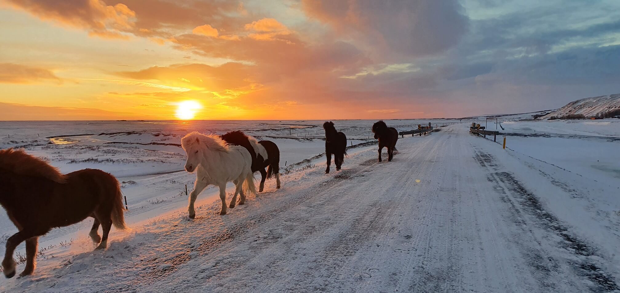Top or Best Influencer Brand Partnership Agencies in Iceland