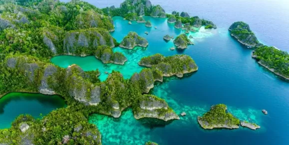 Top or Best Influencer Brand Partnership Agencies in Papua New Guinea