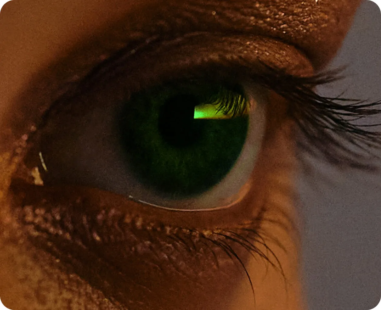 Eye