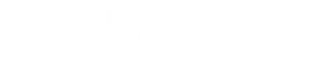 Duality Logo