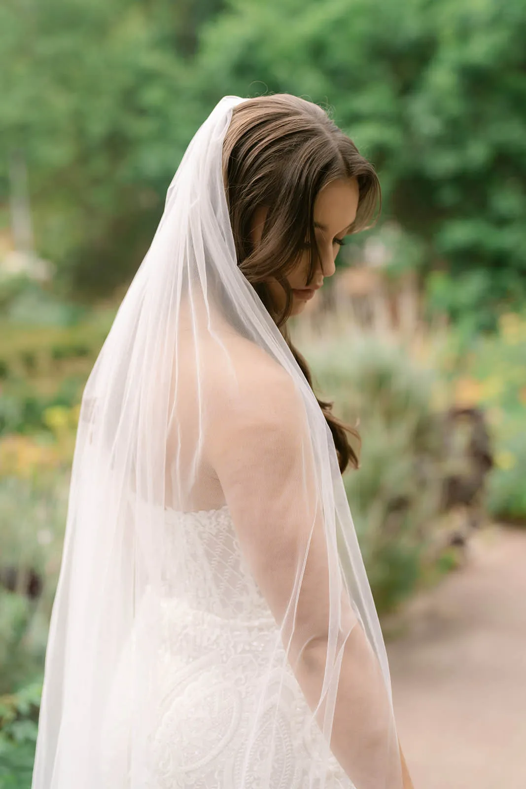 ADA Veil — view 7