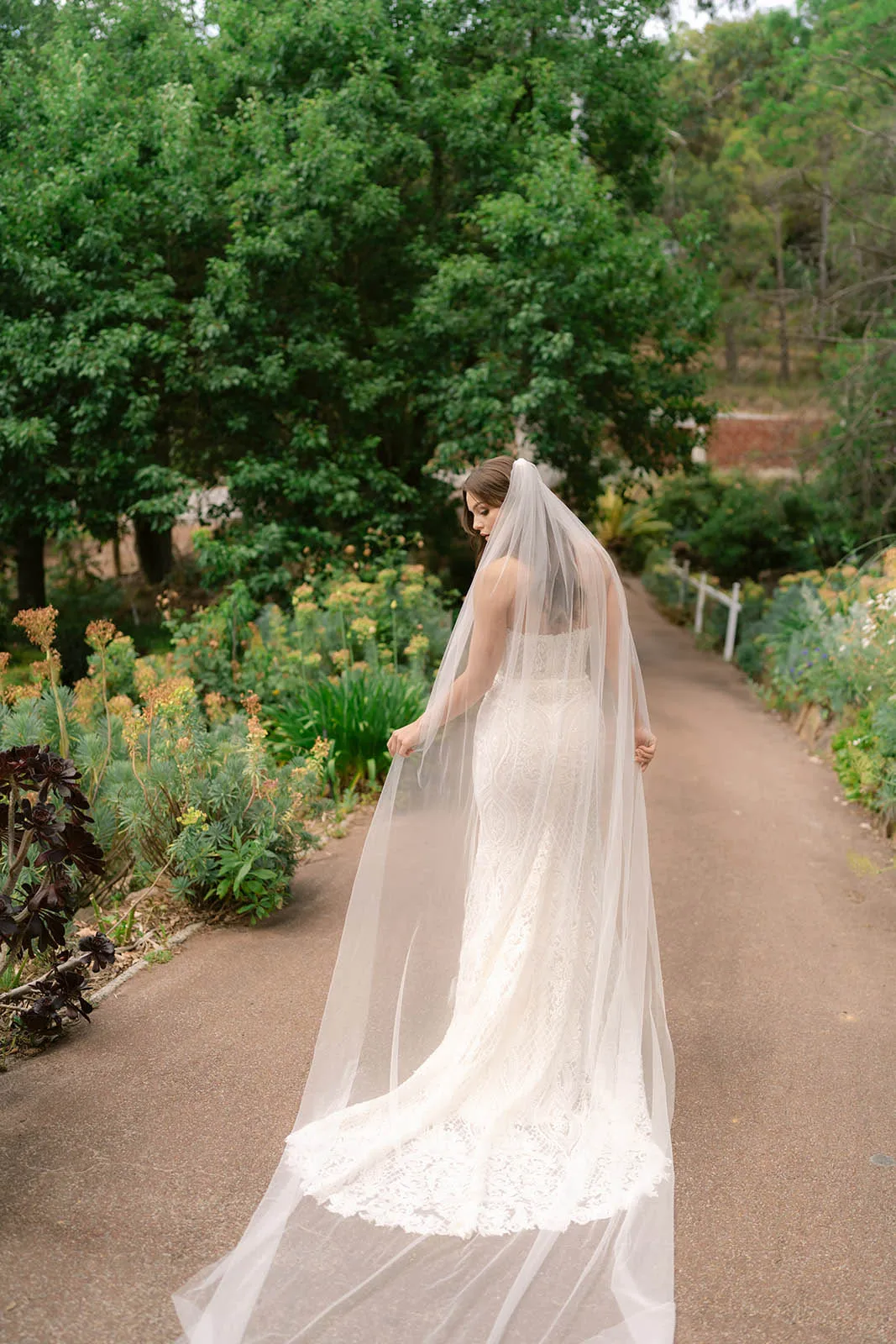ADA Veil — view 15