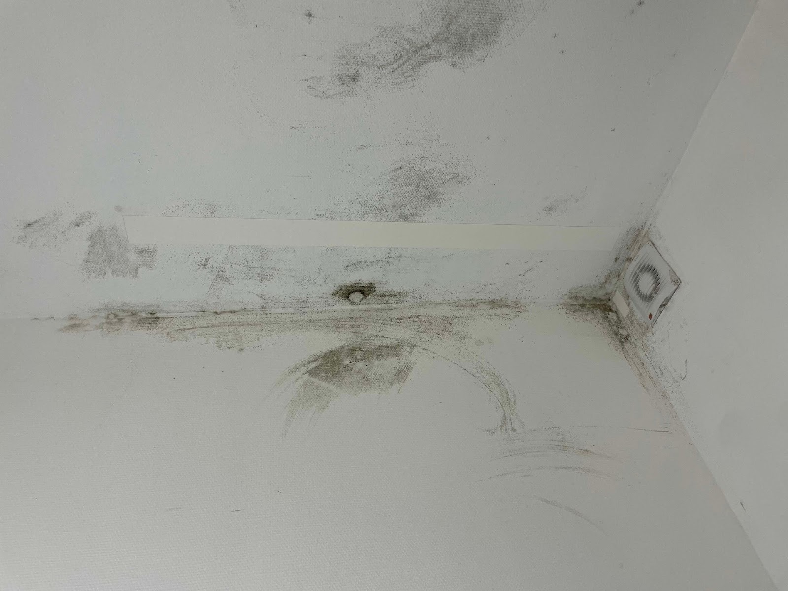 État du plafond semaine 4